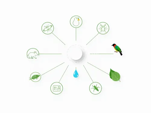 Integrated Pest Management Solutions