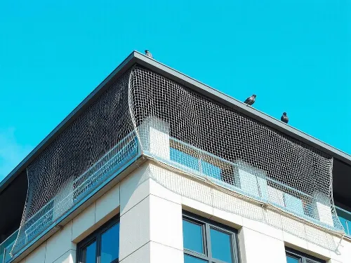 Bird Proofing Service